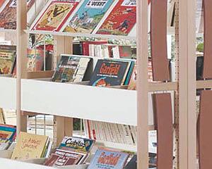 Bac BD mélaminé 3 cases