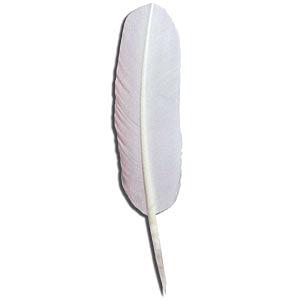 Plume d'oie 40 cm